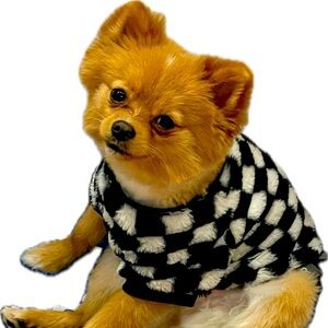 GIVEAWAY GIFTS 🎁 ToDaY only during live show